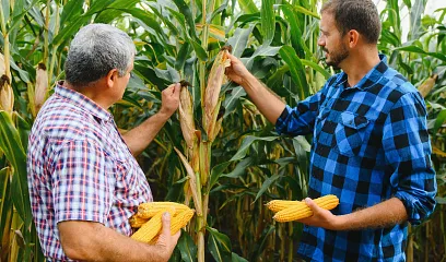 Crédito para abrir tu negocio agro