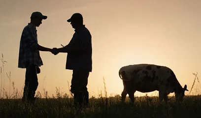 Impulsar negocios de agricultura gracias al Banco Pichincha
