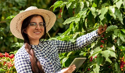 Conocimiento del negocio