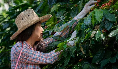 Conocimiento del negocio