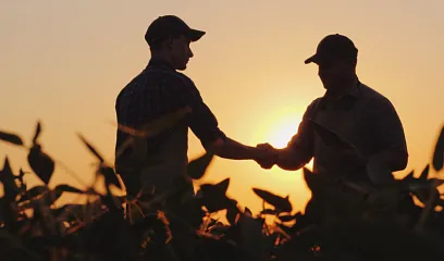 Accede a los servicios y productos financieros que te da Banco Pichincha