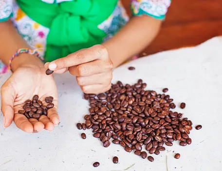 Calcula el verdadero costo de tu producto