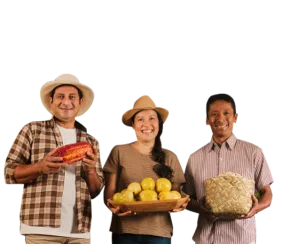 Logra una finanza saludable para tu negocio