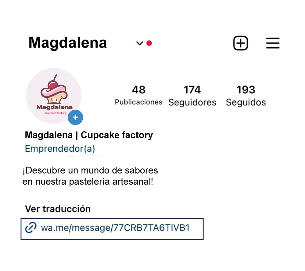Coloca el enlace de tu Whatsapp en Instagram y otras redes sociales.