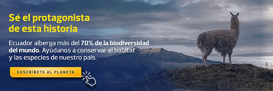 Suscríbete al planeta.