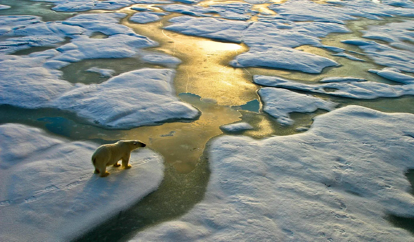 Cambio climático: qué es, causas y cómo nos afecta