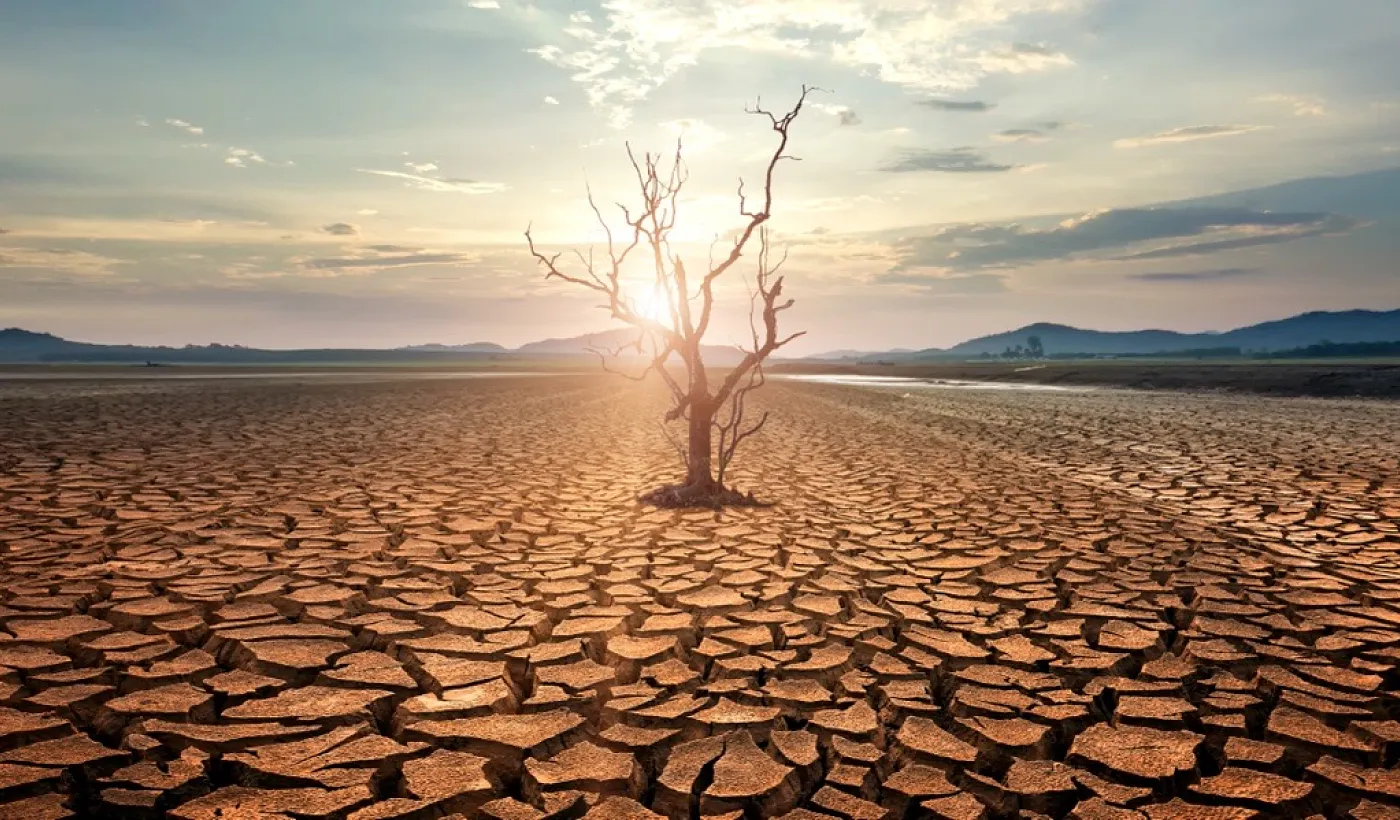 ¿Cuáles son los gases de efecto invernadero y cómo impactan en el cambio climático?