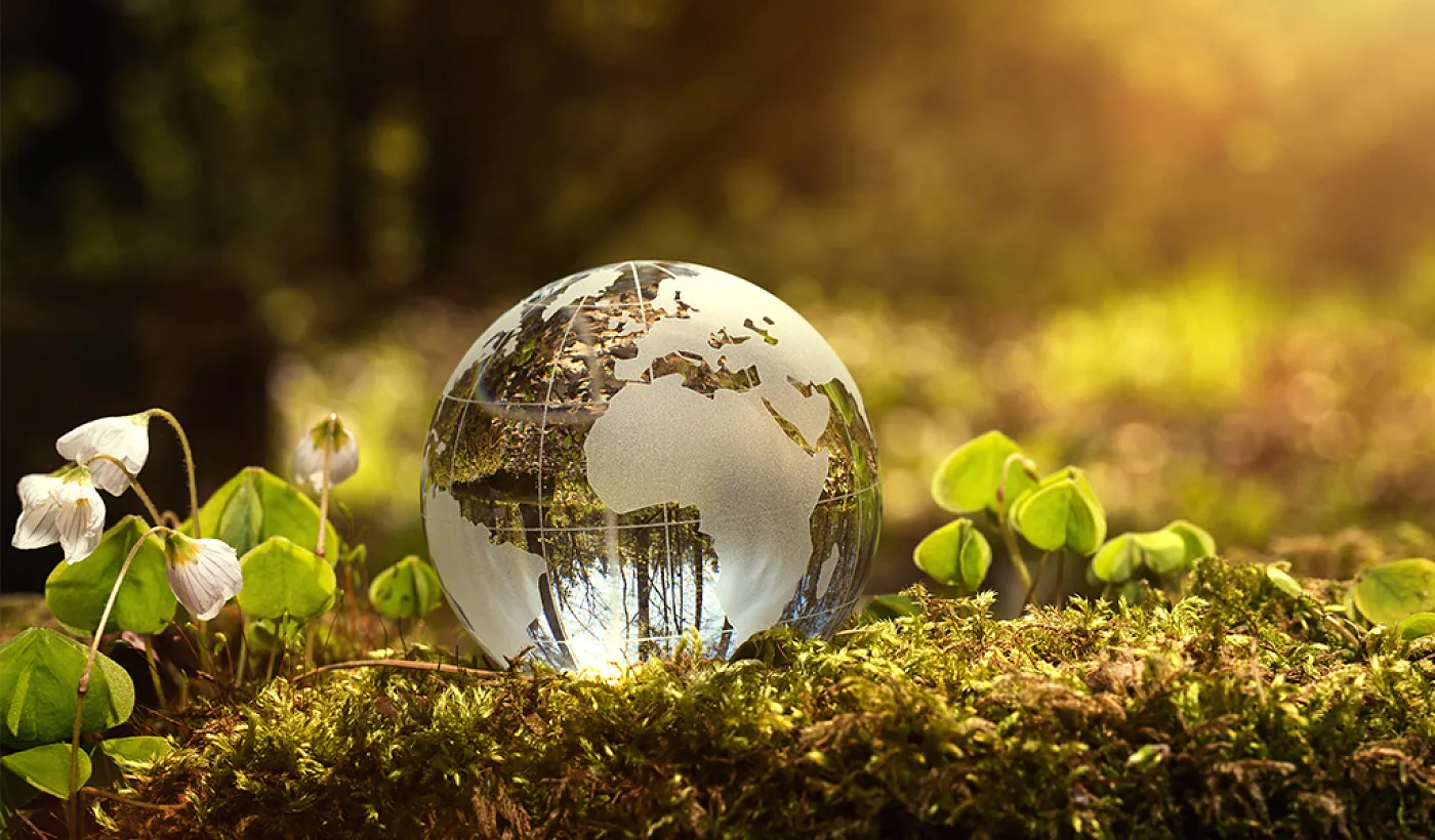 ¿Qué son los bonos verdes y para qué sirven?