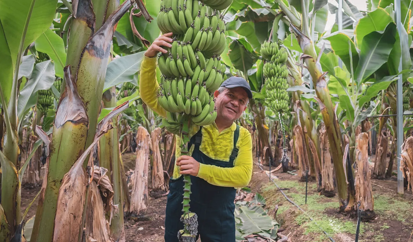 Escuelas y Talleres Agro: aprendizaje continuo para apoyar al crecimiento del sector agropecuario
