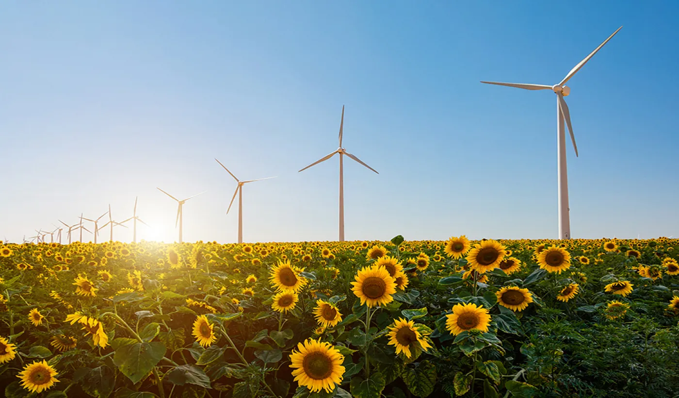 Qué es la huella de carbono y cómo reducir la tuya con pequeñas acciones