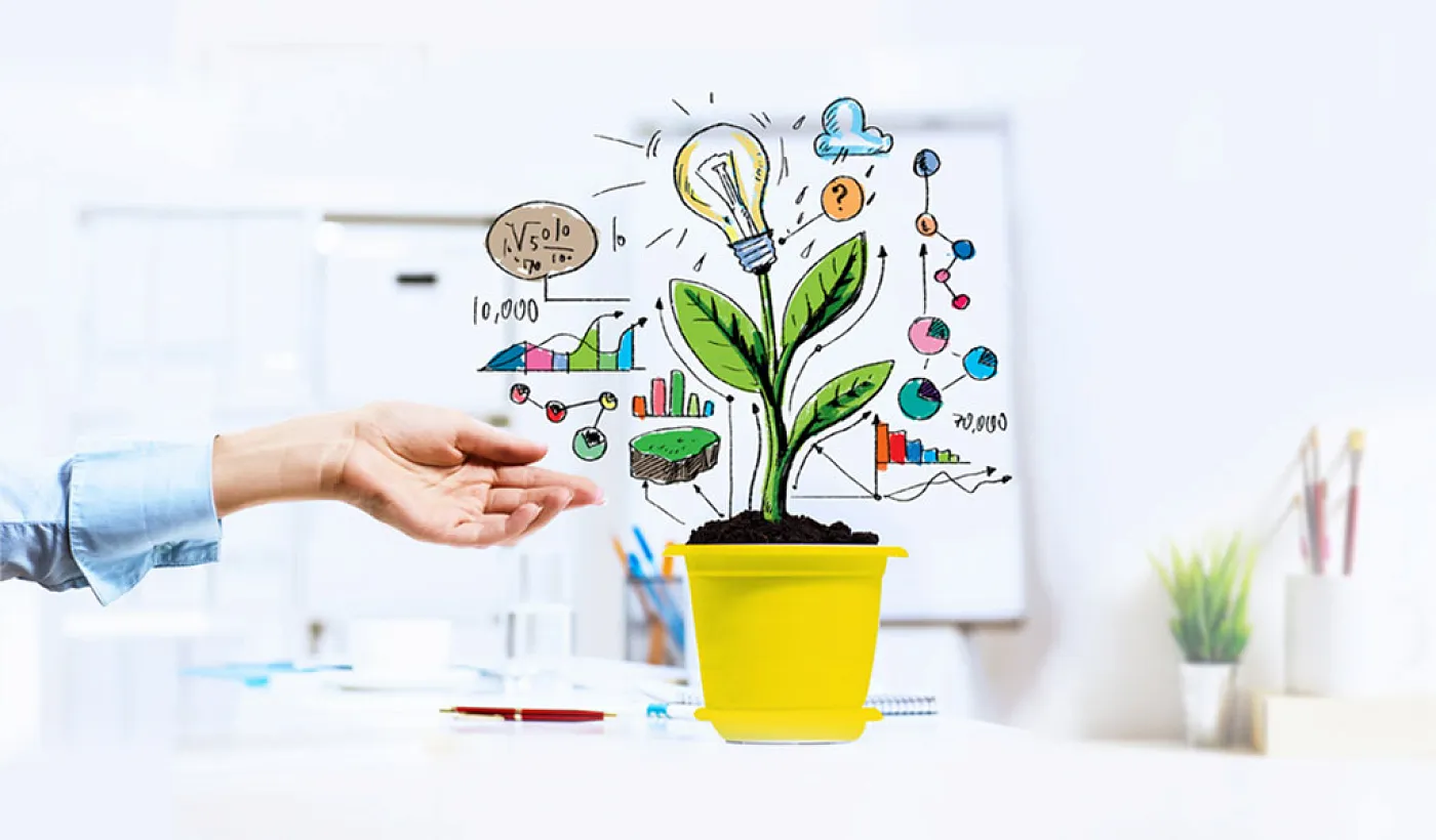 Plan de negocios para emprendimiento o pyme