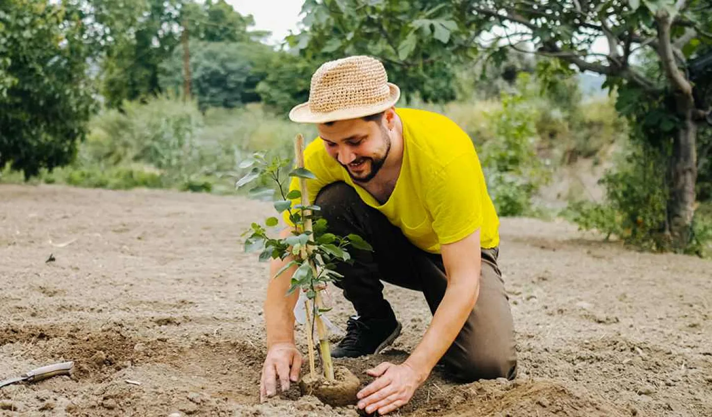 Banco Pichincha reforesta con árboles nativos y ratifica su compromiso por promover entornos sostenibles