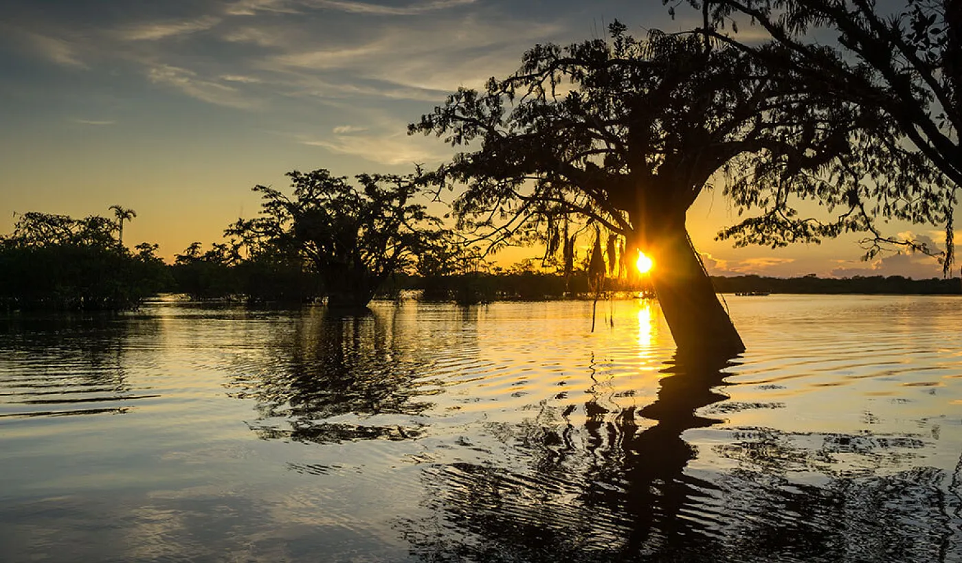 Banco Pichincha y WWF unen esfuerzos para la conservación de la naturaleza y el desarrollo sostenible de Ecuador
